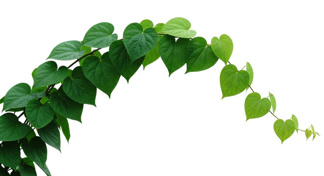 Vibrant green heart-shaped leafy pattern overlaid on arched background