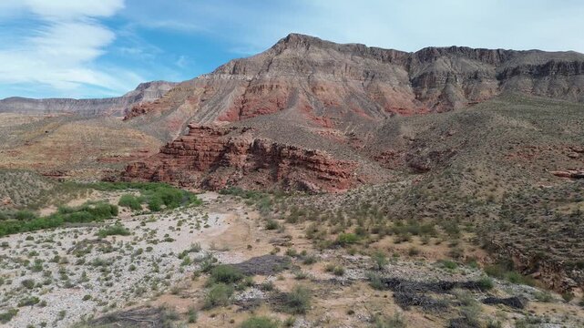 Red cliffs of Virgin River Canyon - Northern Arizona