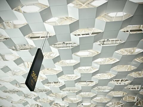 Contemporary Interior Ceiling Design