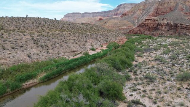 Green shore of Virgin River Canyon - Northern Arizona