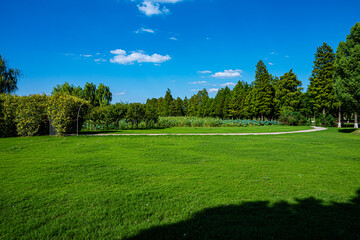 Fototapeta premium landscape with trees