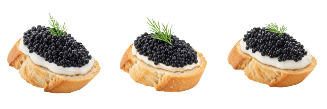 Marine fish ova on bread processing specimen showcasing structural culinary parameters, organic material components, substance density, and moisture level metrics within food science database file