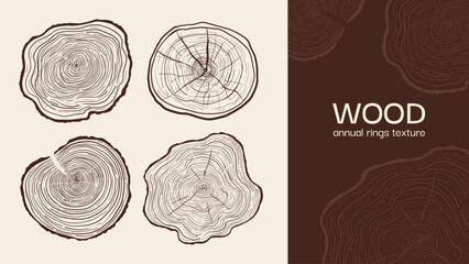 Hand drawn tree ring pattern abstract line art set. Wood cross section textures, annual rings, stump slices. Linear wooden designs for banners, prints decor. Tree trunk in section vector illustration © neliakott