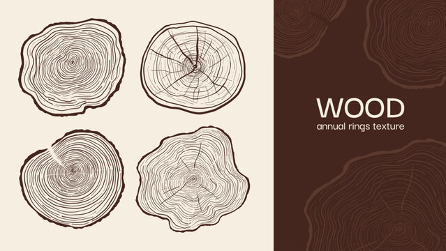 Hand drawn tree ring pattern abstract line art set. Wood cross section textures, annual rings, stump slices. Linear wooden designs for banners, prints decor. Tree trunk in section vector illustration