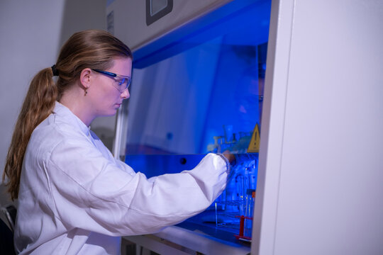 Female Scientist Conducting Experiment in a Laboratory Fume Hood