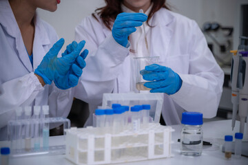 Fototapeta premium Scientists Conduct Laboratory Experiments Using Test Tubes and Lab Equipment