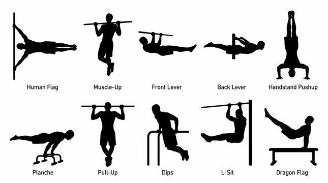 Vector illustration of various gymnastic exercises and bodyweight workouts in silhouette
