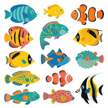 Colorful fish illustrations in various shapes.