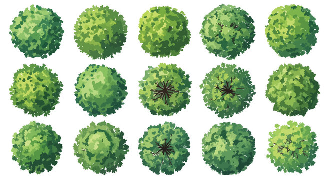 Top view tree set for landscape design, 15 green plant symbols for site planning, aerial view garden vegetation icons, architectural masterplan vector elements