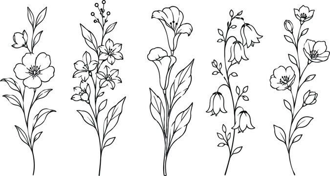 Black and white line of five different flowers with leaves and stems line flower bloom petal daisy