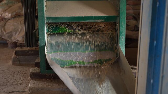 View of a green industrial machine processing grains with seeds falling down a metal chute in a dusty indoor workshop, Nepal.