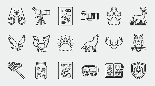 Set of hand drawn wildlife and nature study icons.