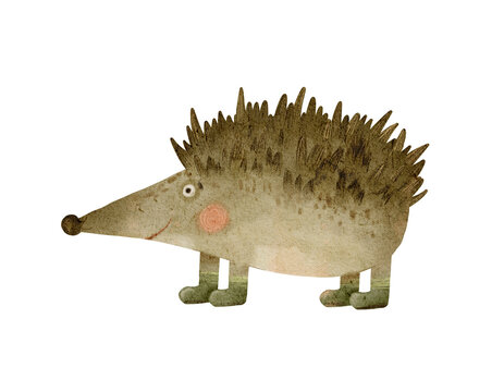 Forest Hedgehog Illustration. Handcrafted Watercolor Scene Featuring Bashful Hedgehog Exploring Moss