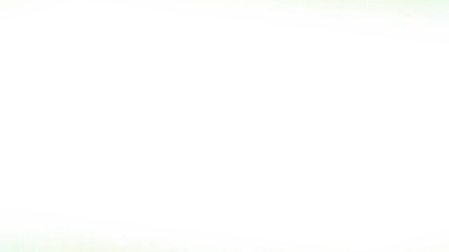 Abstract Light Green and White Layered Geometric Background Animation