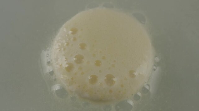 Foamy whipped egg whites creating foam in extreme close up. Effervescent analgesic tablet dissolving in water. Extreme close-up of a white effervescent tablet dissolving in a glass of water,