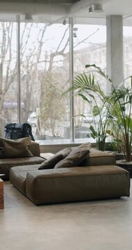 Modern, minimalist interior design of waiting area. Stylish leather sofa and green plants by the window. Natural light illuminates the space. Cozy ambiance for relaxation