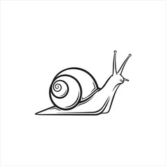 snail isolated on white background or silhouette vector  © sondha