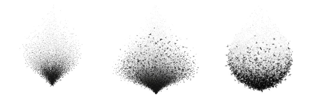 Swarm of insects forming diagonal motion, Pieridae family, migratory white butterfly oblique transit corridor flight lines, cross-country seasonal dispersal tracking map layout index