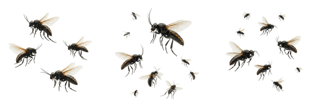 Swarm of insects with motion blur effect, Vespula vulgaris, common wasp high-velocity flight line trajectory lines, wing beat cycle blur pattern profiling, kinetic chaos swarm index mapping