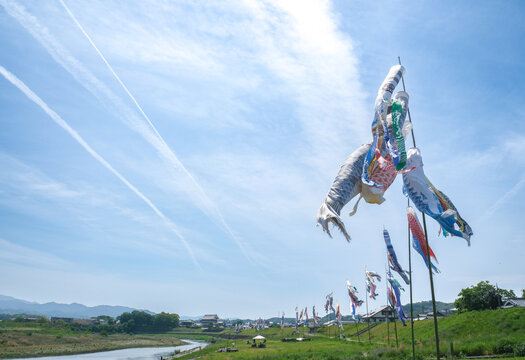 Carp streamers flying over Yoshino River in Gojo, Nara