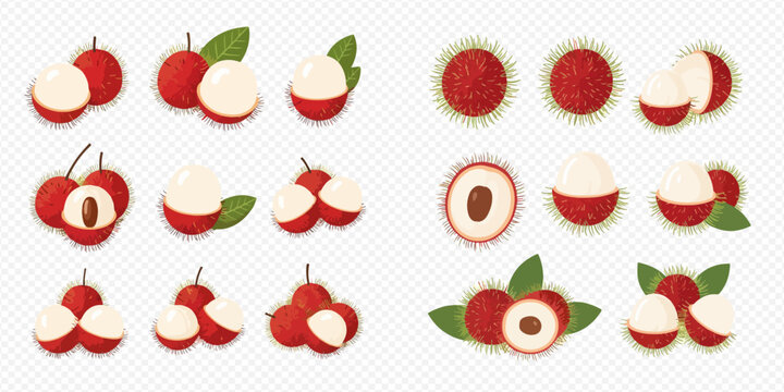 Set of fresh lychee and rambutan fruits with leaves, whole and cut in half, showcasing juicy pulp and seeds.