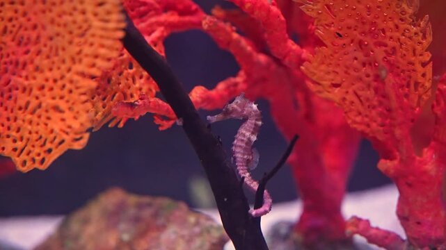 Beautiful Sea house in his environment
