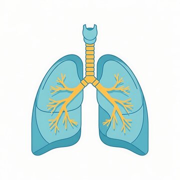 Blue lungs with golden bronchial tree medical illustration.