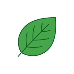 Obraz premium Green leaf illustration with veins.