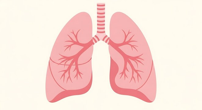 Pink watercolor illustration of human lungs with bronchial tree.