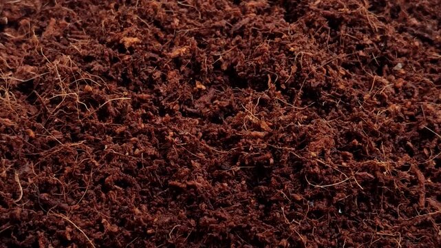 Organic cocopeat for gardening and agriculture. Natural cocopeat for planting media