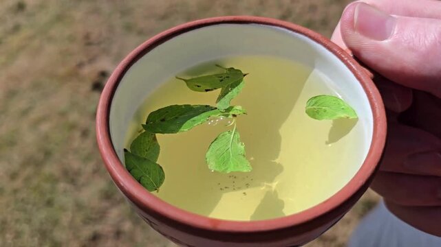 Cusco, Peru - 22 June 2024. A hand holds a ceramic cup of coca tea with coca leaves floating in pale green liquid outdoors.