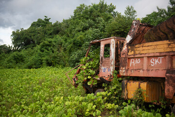 Abandoned logging machinery in Solomon Islands  © Joakim