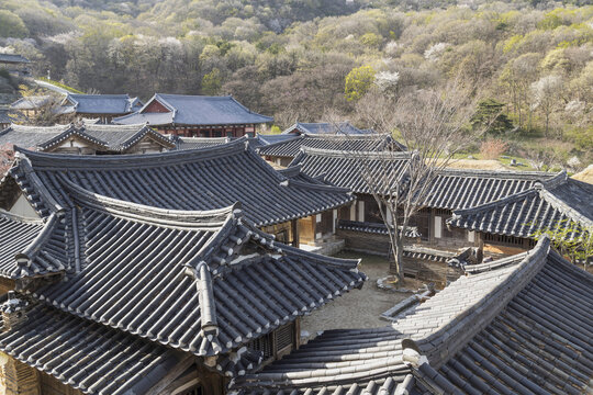 용인mbc드라미아,용인시,경기도