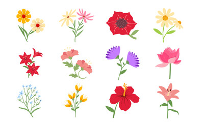 Obraz premium Beautiful flowers illustration 