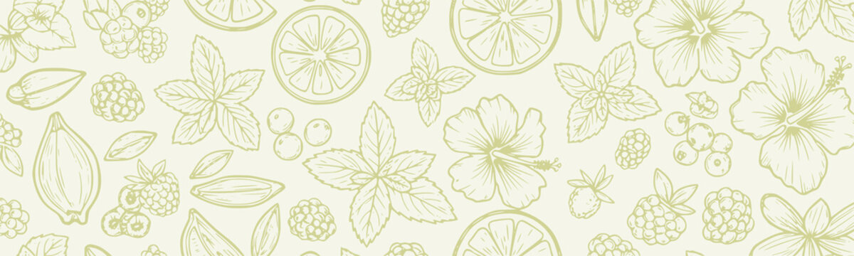 Kombucha botanical ingredients background pattern vector drawing, hand drawn line art illustration style for fermented tea beverage label and packaging design with herbs, hibiscus flower, mint leaf