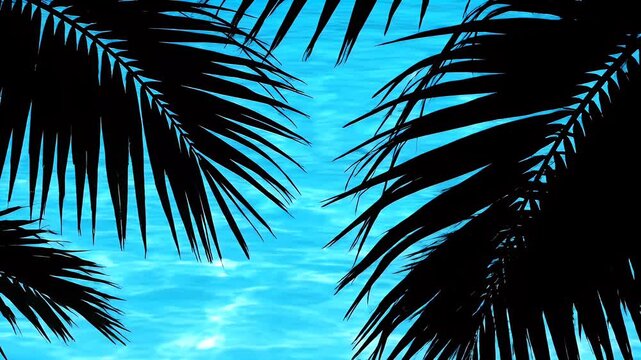 Dark silhouettes of palm leaves framing a bright blue sparkling swimming pool water