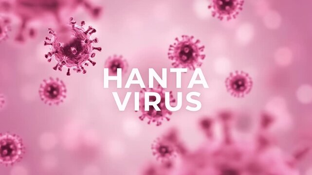 A microscopic view of hanta virus particles floating against a soft pink background