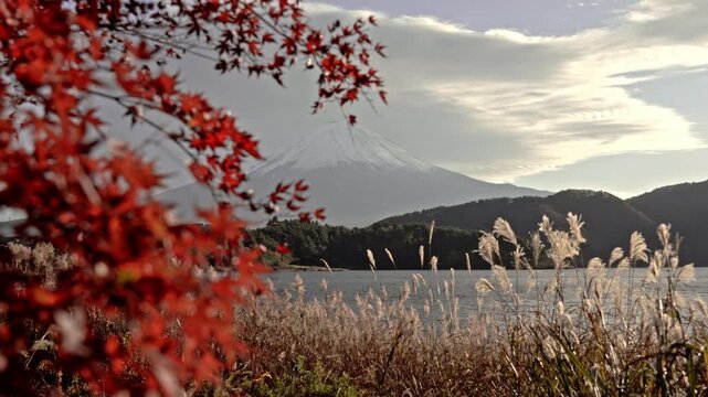 Stunning autumn landscape of Mount Fuji with snow cap visible through vibrant red maple leaves at Lake Kawaguchiko in Japan