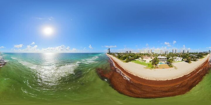 Sargassum on the beach aerial 8k 360 vr flyover video