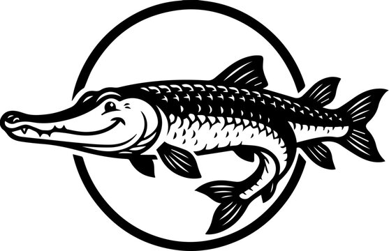 alligator gar 2