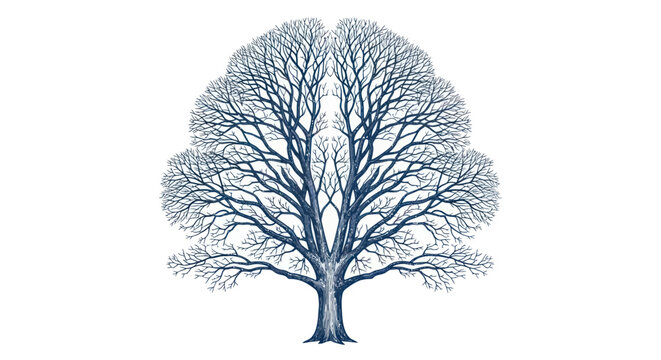 Bare Tree Silhouette in Winter, Resembling Brain Structure
