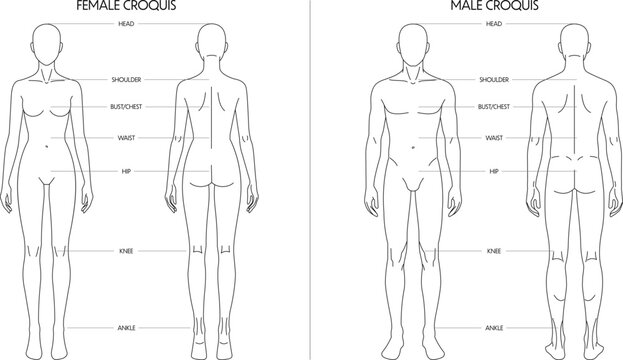Male and female fashion croquis templates with body proportions guide