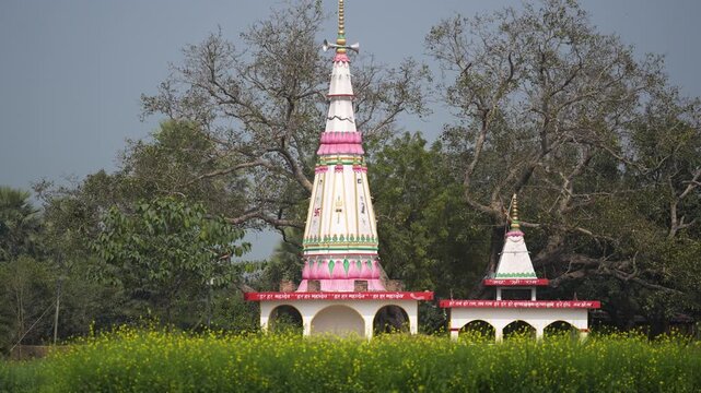 View of a colorful Hindu temple spire rising behind a blooming yellow mustard field and lush green trees in Patna, Bihar, India.