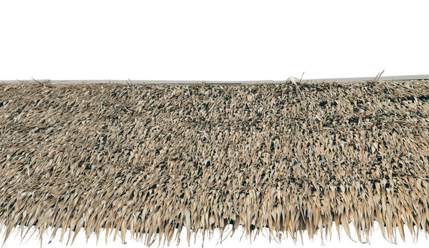 Thatch roof straw texture dry grass rural rustic shelter natural material pattern warm earthy tone background detail