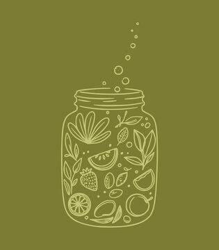 Kombucha fermentation jar vector illustration drawing, hand drawn line art style with fruits and botanical tea leaves, folk art style design graphic element for packaging and label
