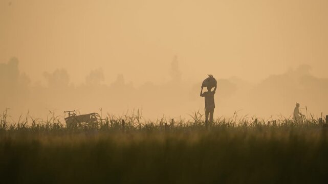 View of a silhouetted worker carrying a sack on his head through a misty rural field at dawn with a cyclist in the background in Bogura, Rajshahi Division, Bangladesh.