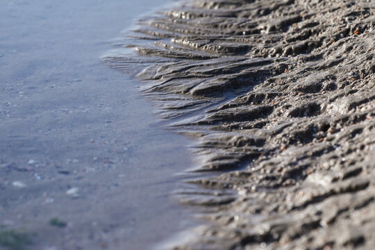  Tracks in the beach sand.