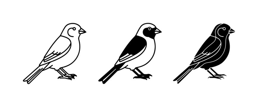 Bird Icons Set, Minimalist Finch Vector Graphics, Outline and Silhouette