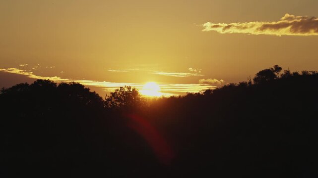 View of the sun setting behind silhouetted trees and hills in Kruger National Park with a golden sky and lens flare in Skukuza, Mpumalanga, South Africa.