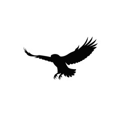 Fototapeta premium Black bird silhouette, flying eagle icon, wildlife symbol, vector graphic